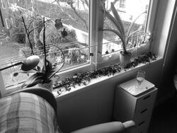 A windowsill (not mine)